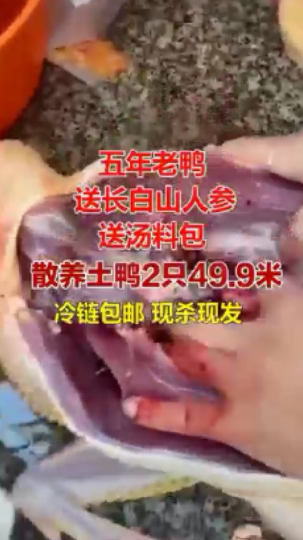 大志家农场土鸭直播话术03