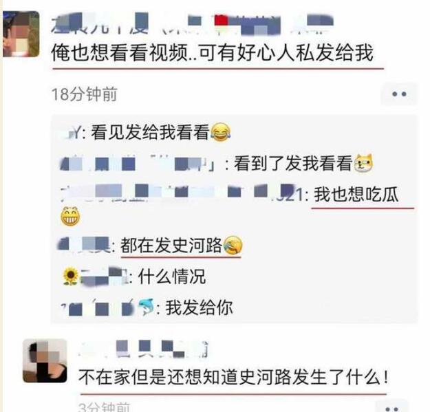 合肥史河路的瓜01