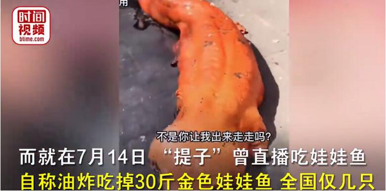 网红提子吃大白鲨原视频02