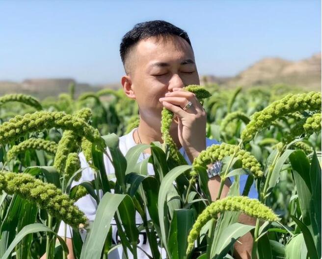 石头花01