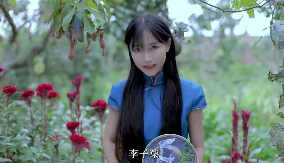 李子柒