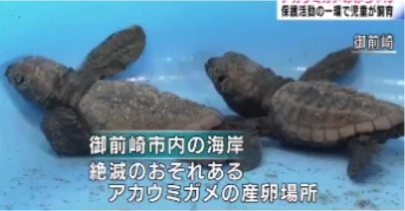 御前崎市